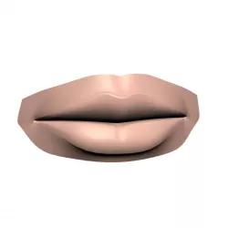 human lips 3D model
