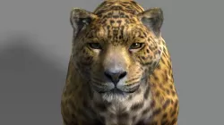 Leopard A 3D model