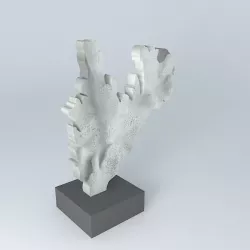 NAUTILUS WHITE DECO 3D model