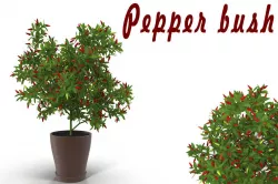 Pepper bush 3D model