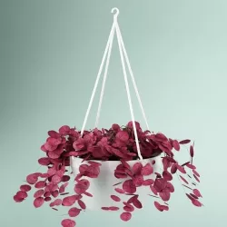 Plant 34 3D model