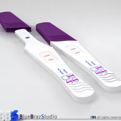 pregnancy tester 3D model