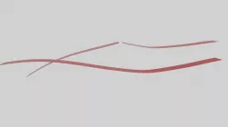 Ribbon Tape 3D model