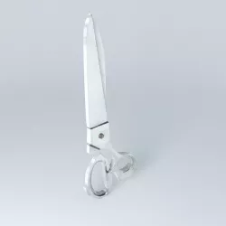 SCISSORS houses the world 3D model