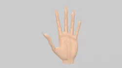 stylised human hands collection 3D model