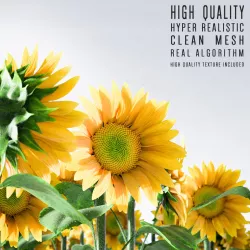 Sunflower 3D model