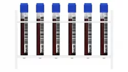 Test Tubes 3D model