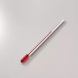 Thermometer 3D model