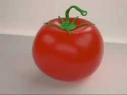 Tomato 3D model