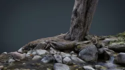 Tree River 3D model