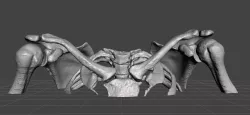 Upper Chest Bones - female 3D model
