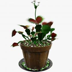 Venus flytrap 3D model