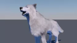 White wolf FUR RIGGED Low-poly  3D model