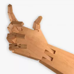 Wooden Hand 3D model