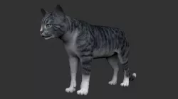 ANML-008 Cat 3D model