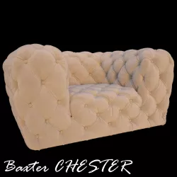Baxter CHESTER 3D model Low-poly  3D model