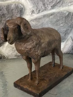 Big Horn Sheep 3D model