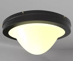 Ceiling lamp for roof 3D model