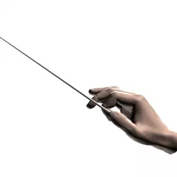 Conductors hands 3D model