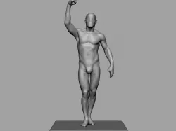 Dynamic Male Anatomy 3D model