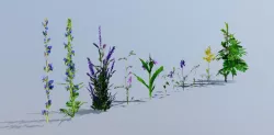f 002  3D model