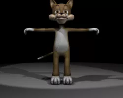 Finn the Cat Texture