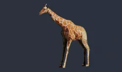 giraffe 3D model