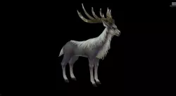 Grey deer Low-poly  3D model
