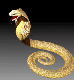here are ZTL snake and skeleton 3D model