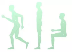 Human template 3D model