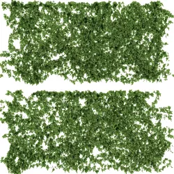 Ivy walls 2 models 3D model