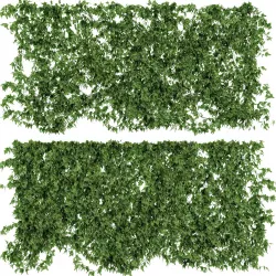 Ivy walls 2 models v2 3D model