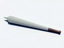 Joint with wooden joint tip 3D model