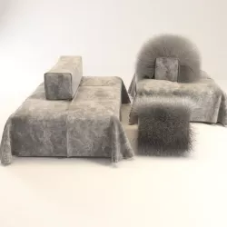 Laguna 3D model