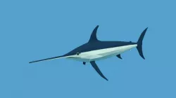 Low Poly Cartoon Swordfish Low-poly  3D model