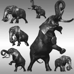 Male Elephant Low-poly  3D model
