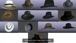 PBR Pack of Stylish Fedora Hats 3D Model Collection