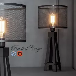 Radial Cage  3D model