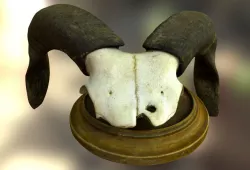 ram Aries skull Low-poly  3D model