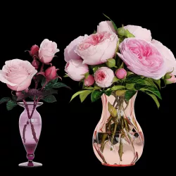 Roses 3D model