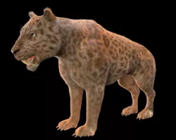 Saber Tooth Leopard Rigged Hairs Low-poly  3D model