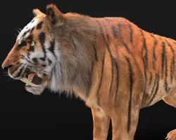 Saber Tooth Tiger Rigged Hairs Low-poly  3D model