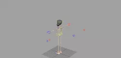 Skeleton Fully Rigged 3D model