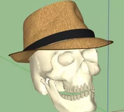 Skull 3D model