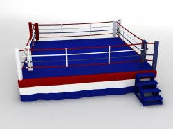 Sports Ring Boxing Wrestling Fighting 3D model