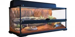 Terrarium Exo-Terra for the snake 3D model