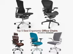 Top 5 Best Ergonomic Office Chairs 3D model