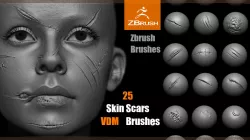ZBrush Scars VDM Brush 3D model