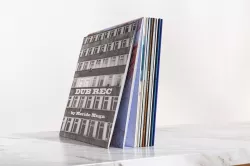 A few vinyls 3D model