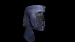 Alien head 3D model